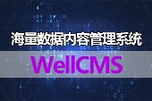 WellCMS 海量数据内容管理系统